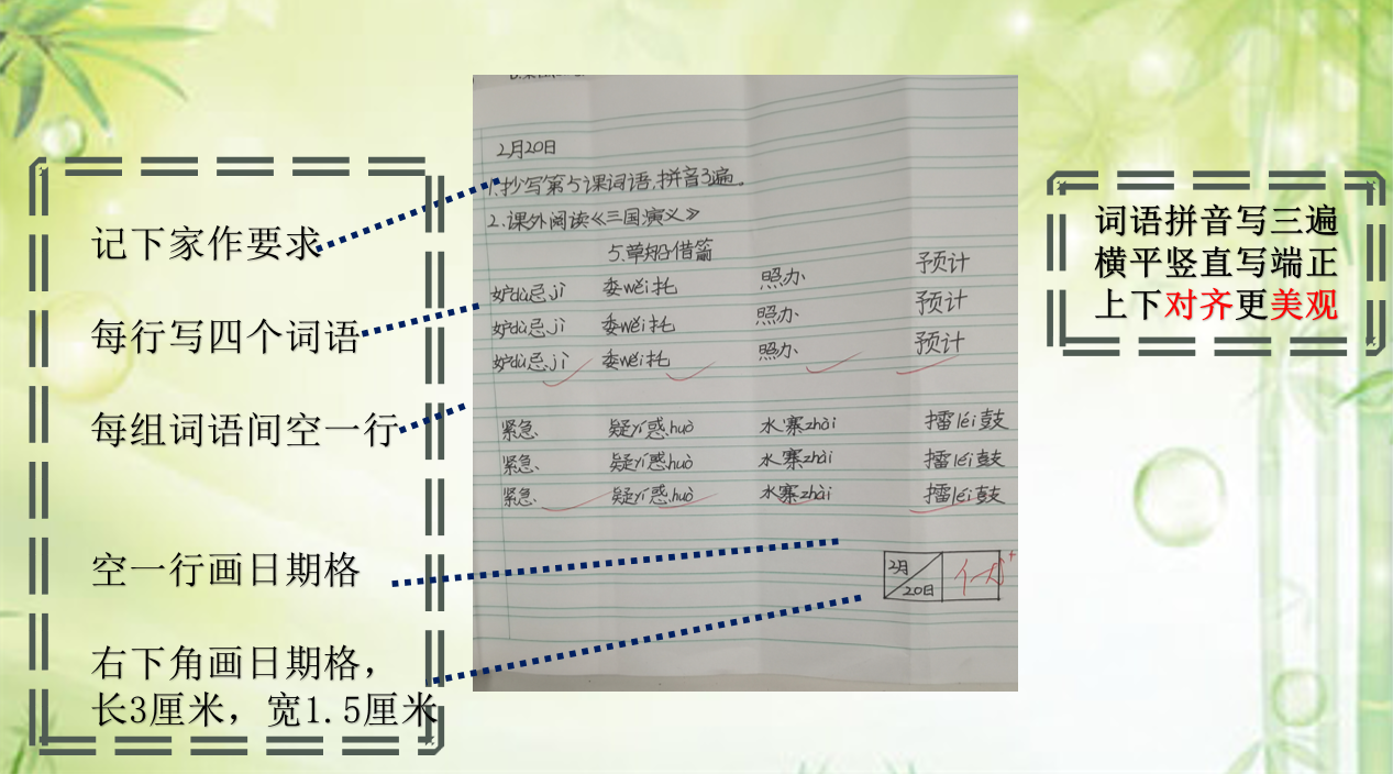 图片27.png